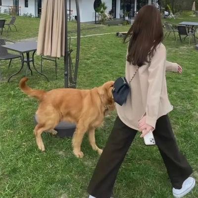 自由第一日